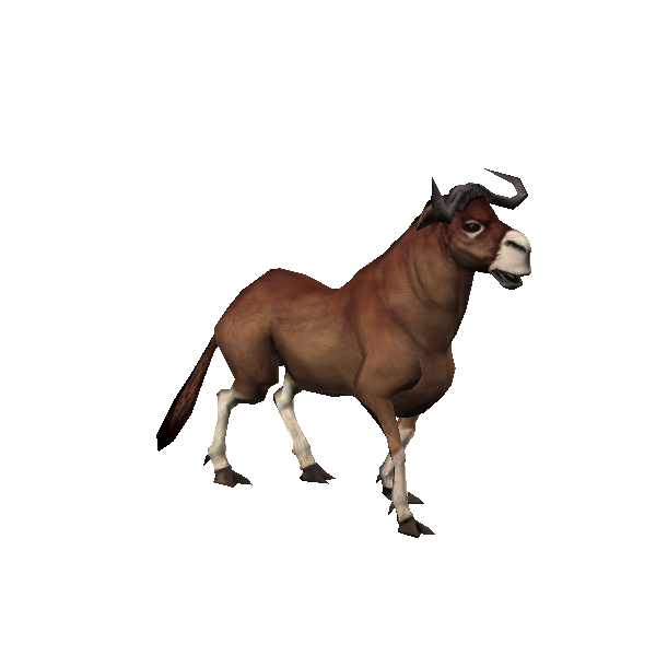 roaming bordok stud