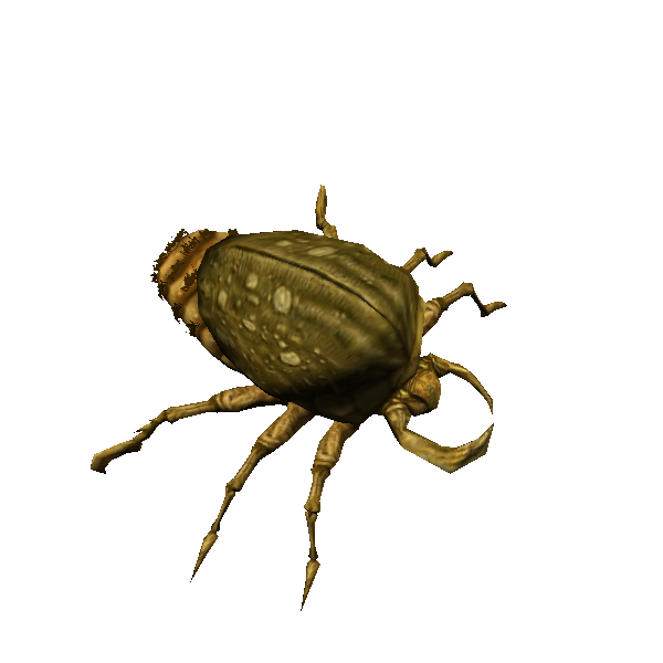 rockmite