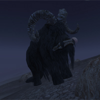 rogue bantha