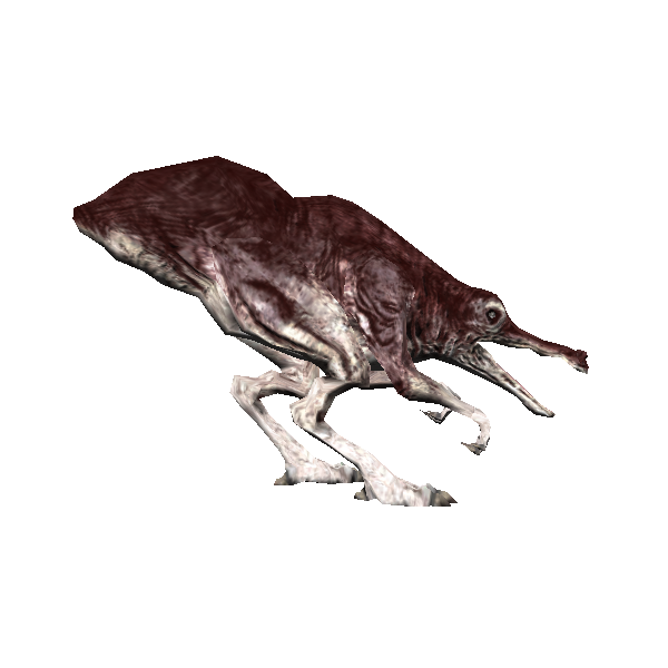 rotten gut remmer king