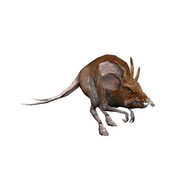 scavenger rat