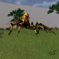 sentry hermit spider