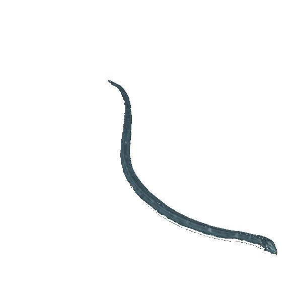 shadevale stalker