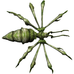 Angler