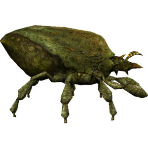 Bark Mite