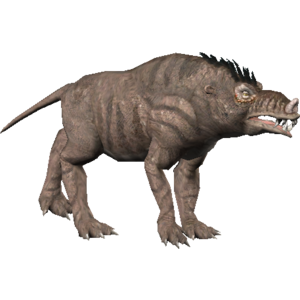 Boar Wolf