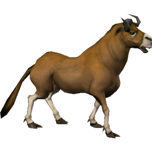 Bordok