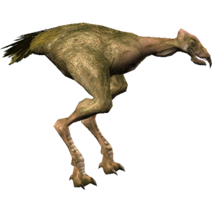Carrion Spat