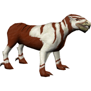 Choku