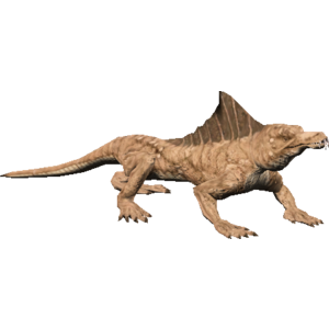 Dune Lizard