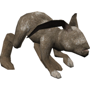 Durni