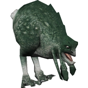 Dwarf Nuna