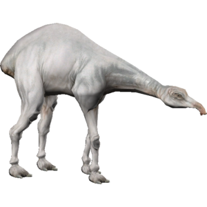 Eopie