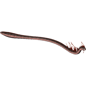 Finned Blaggart