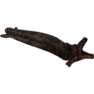 Forage Worm