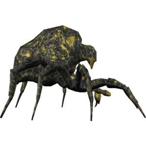 Gaping Spider