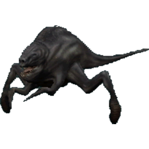 Jundak