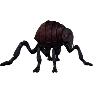 Lava Flea