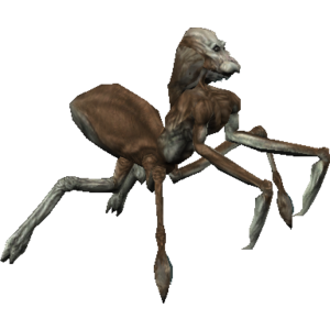 Merek