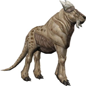 Murra