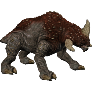Reek