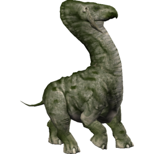 Ronto