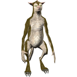 Shaupaut