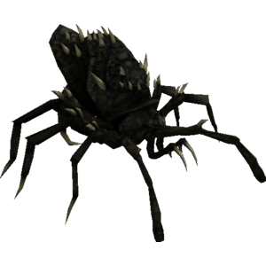 Spiderclan Consort