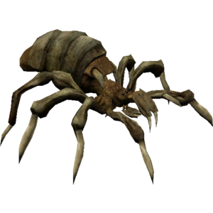 Spiderclan Queen