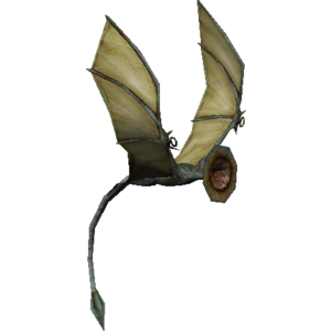 Vynock