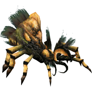 Whiskerback Widow