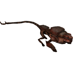 Xandank